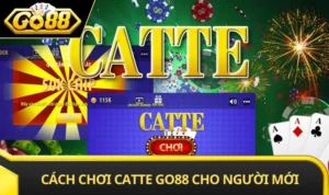 Cách Chơi Catte GO88 Hiệu Quả Dành Riêng Cho Người Mới