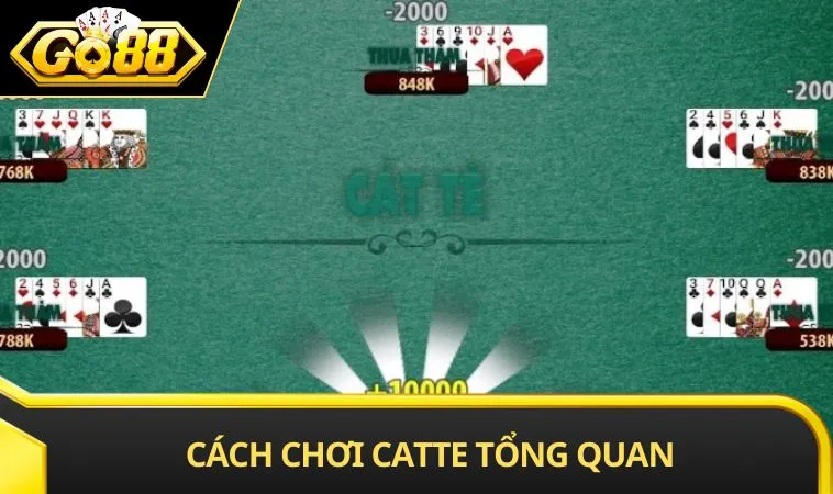 Cách chơi catte tổng quan