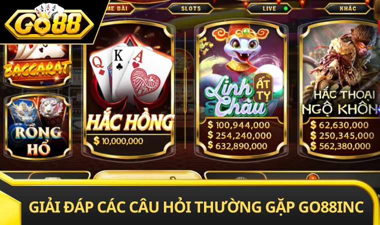 Giải đáp các câu hỏi thường gặp GO88 INC