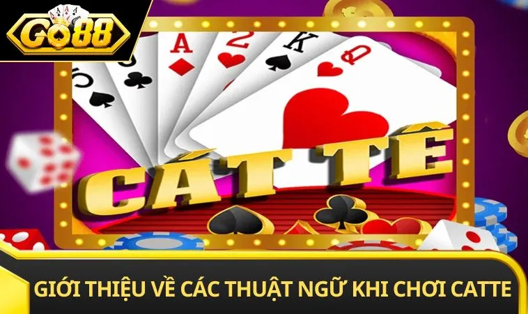 Giới thiệu về các thuật ngữ khi chơi catte